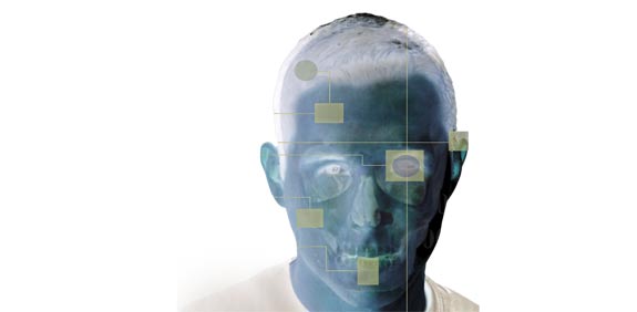 ביומד / צלם:  David Hernandez/Shutterstock.com. א.ס.א.פ קראייטיב